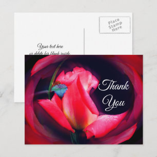 Pink Rosebud Abstract Floral Thank You Postcard