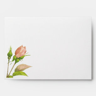 Pink Rosebud Botanical Roses A7 Envelope