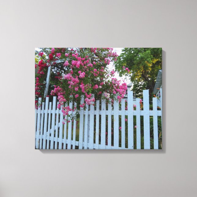 Pink Roses and Picket Fence - Martha's Vineyard Canvas Print (Front)