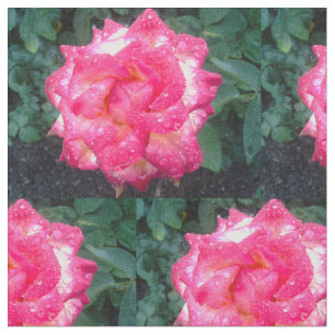 PINK ROSES AND RAINDROPS fabric