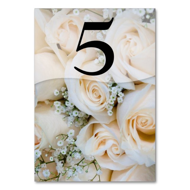 Pink Roses Baby's Breath Table Number Card (Back)