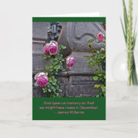 PINK ROSES BETWEEN TWO PILLARS/GOD GAVE US ROSES