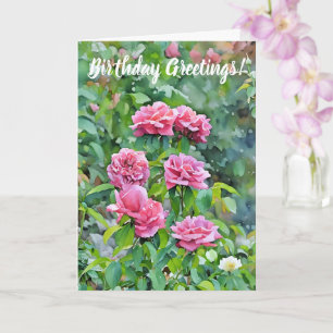 Pink Roses Blooming in a Garden Art Birthday Card
