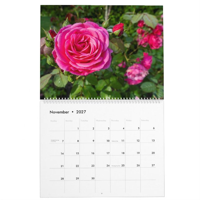 Pink roses calendar (Nov 2027)