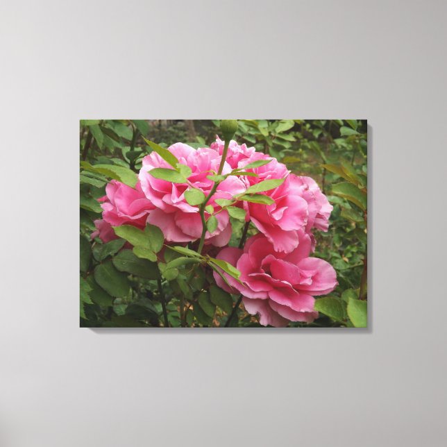 Pink Roses Canvas Print (Front)