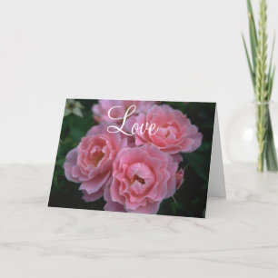 Pink Roses Card