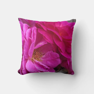 Pink Roses Cushion