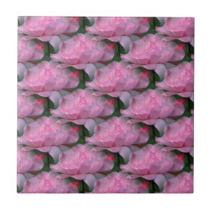 Pink Roses Floral Art Nature Tile