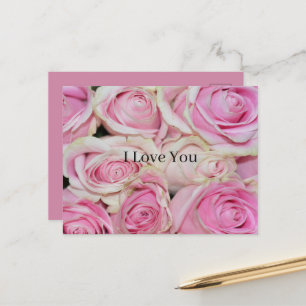 Pink Roses Floral (photography by me) Love Postcard