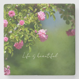 Pink Roses Floral (photography by me) Stone Coaster