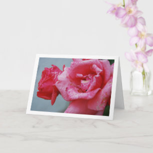 Pink Roses Floral Portrait Card