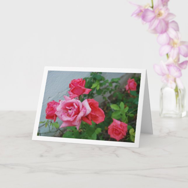Pink Roses Floral Portrait Card (Orchid)