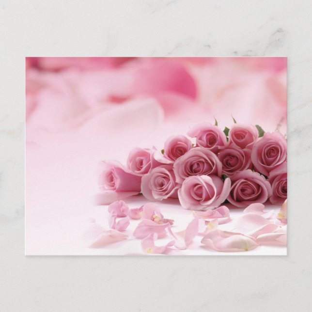 Pink Roses - Floral Postcard (Front)
