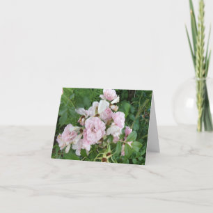 Pink Roses Folded Note Card