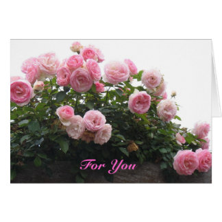 Pink roses for you