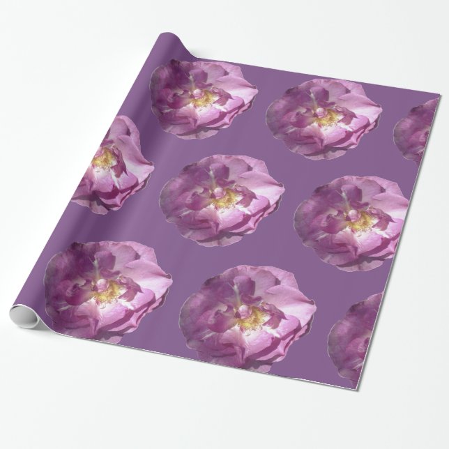 Pink Roses Glossy Wrapping Paper (Unrolled)