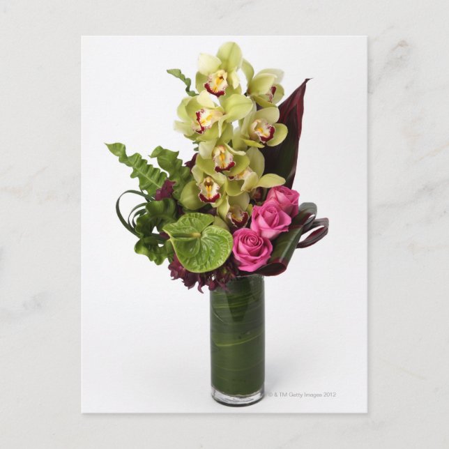Pink roses, green anthuriums, cymbidium orchids postcard (Front)