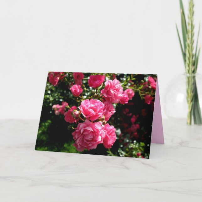 pink roses greeting card (Front)