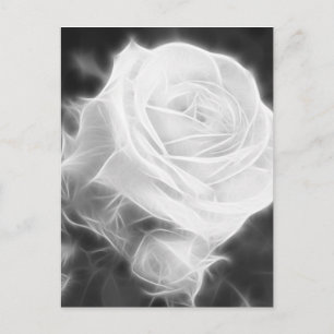 Pink Roses in Anzures 2 Crystal Postcard