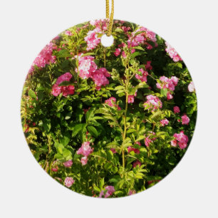 Pink Roses in bloom Ceramic Tree Decoration