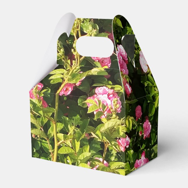Pink Roses in bloom  Favour Box (Front Side)