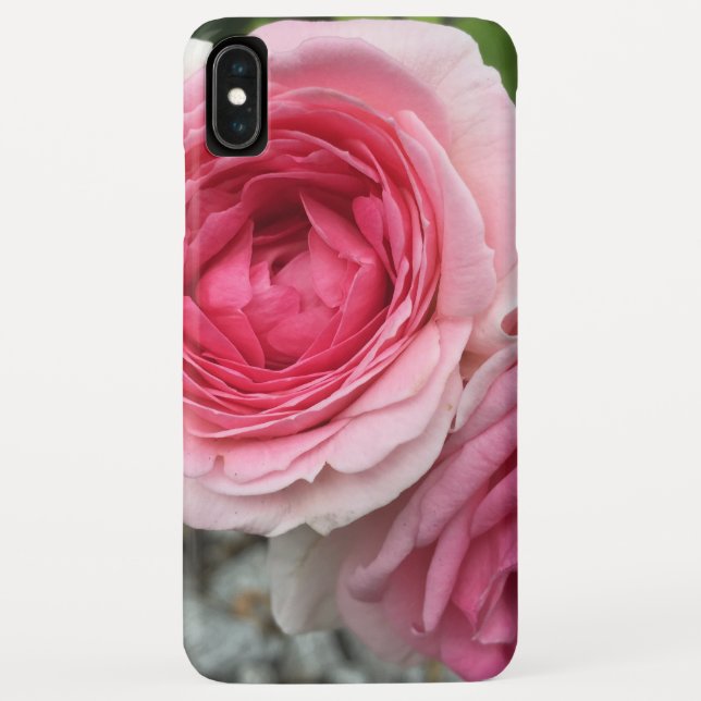Pink Roses iPhone Case (Back)