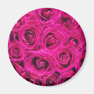 Pink Roses (Love and Romance) Magnet