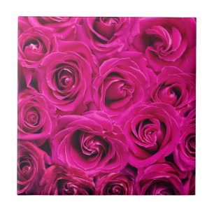 Pink Roses (Love and Romance) Tile