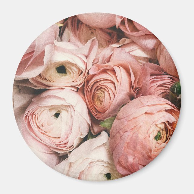 Pink roses magnet (Front)
