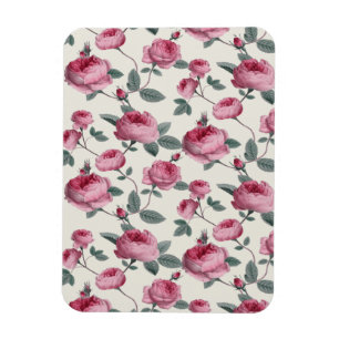 Pink Roses Magnet