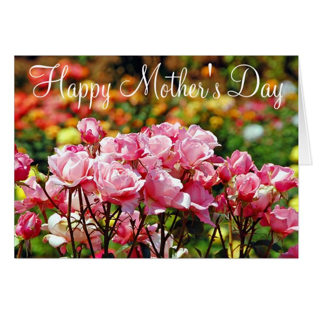 Pink roses Mother's Day greeting card (Front Horizontal)