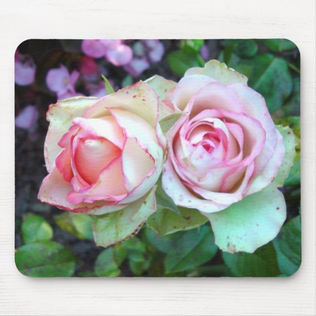 Pink Roses Mouse Mat (Front)