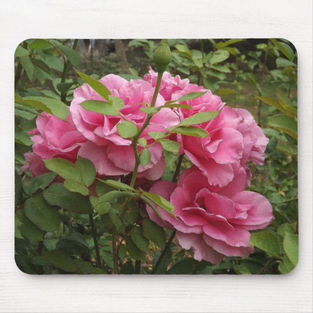 Pink Roses Mouse Mat (Front)