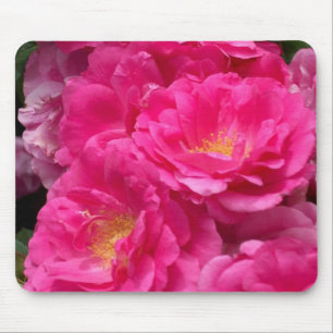 Pink Roses Mouse Pad