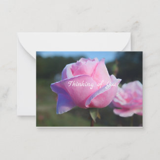 Pink Roses Note Card