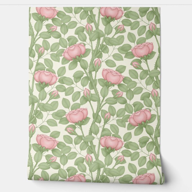 Pink Roses on cream Wallpaper (Unrolling)