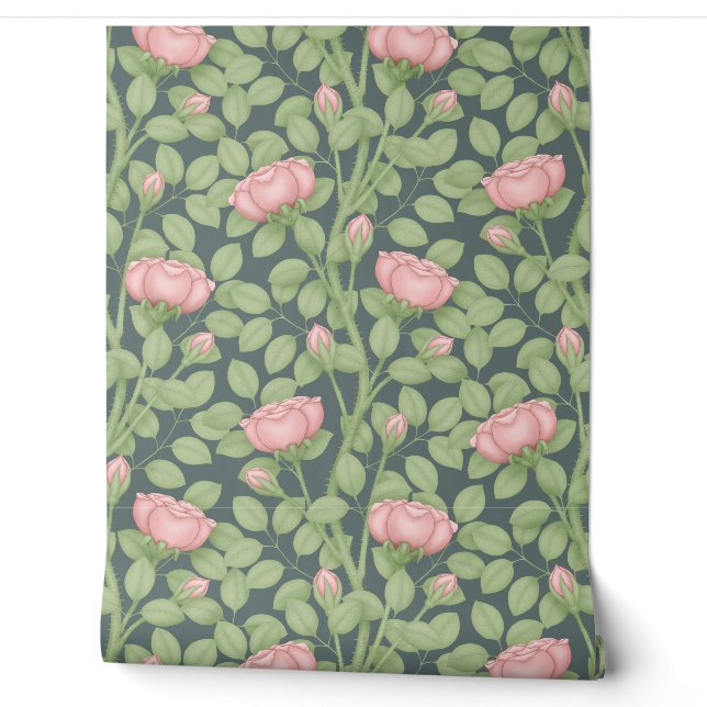 Pink Roses on slate blue Wallpaper (Unrolling)