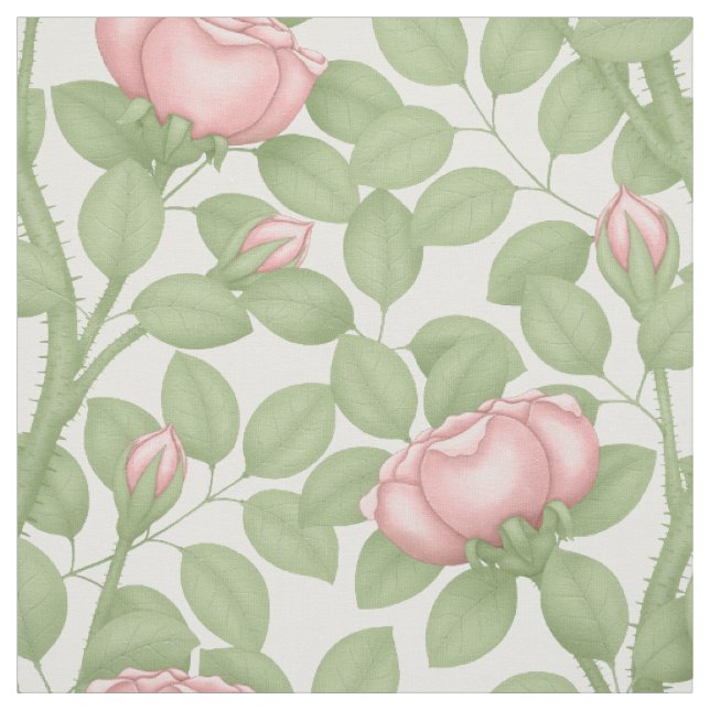 Pink Roses on white (large scale) Fabric (Swatch)