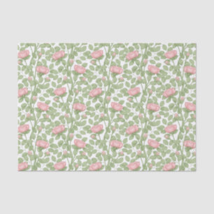 Pink Roses on white Tissue Paper