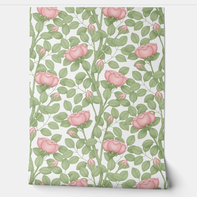 Pink Roses on white Wallpaper (Unrolling)