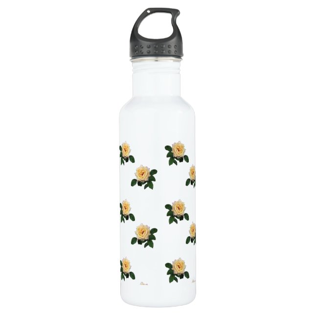 Pink Roses Pattern 710 Ml Water Bottle (Front)