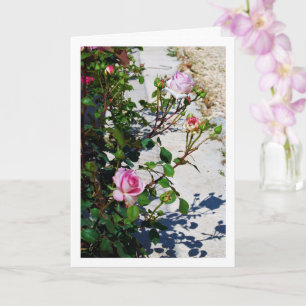 Pink Roses Portrait Card