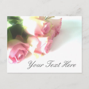 Pink roses postcards