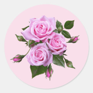 Pink Roses Round Stickers Envelope Seals