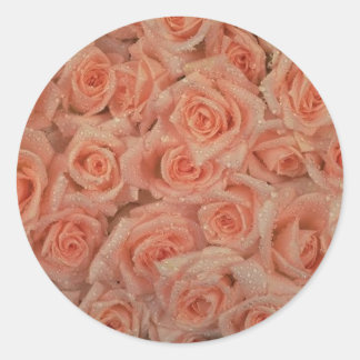 Pink Roses Sticker