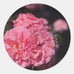 Pink Roses stickers