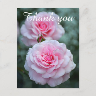 Pink roses thank you card