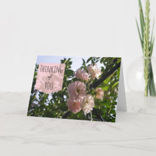 Pink Roses Thinking of You Card