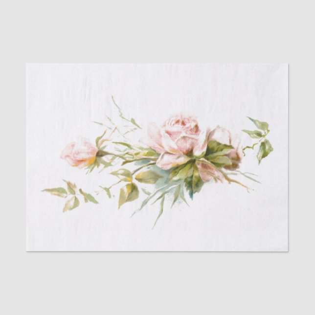 Pink Roses Vintage Tissue Paper (Front)