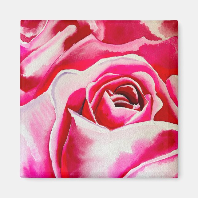 Pink roses watercolor art magnet (Front)